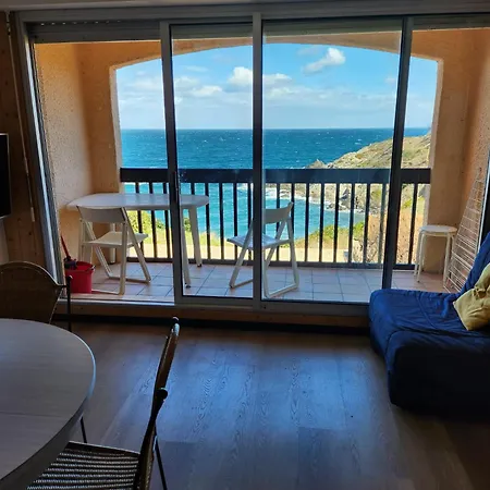 Appartement Vue Mer Port Vendres Collioure Direct Crique Wifi Exterior photo