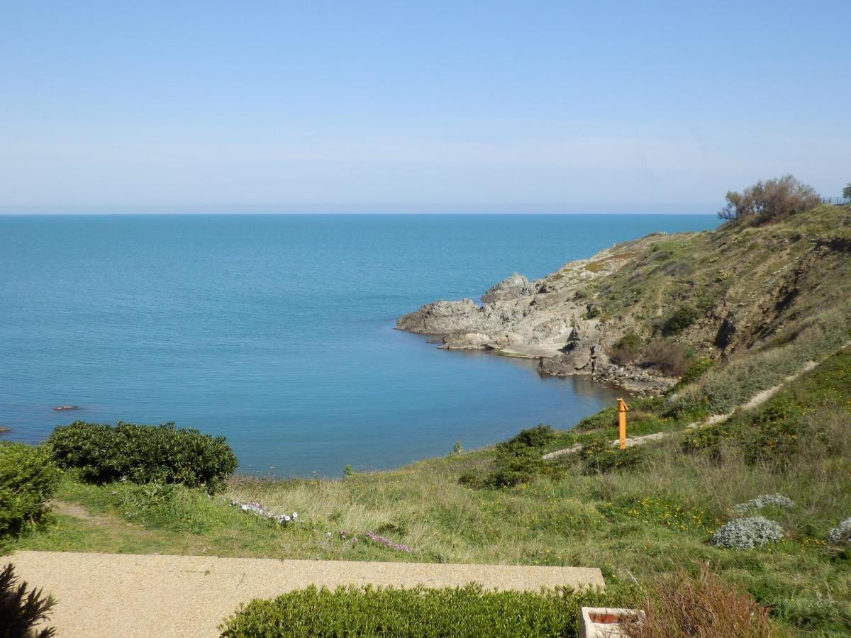 Vue Collioure Direct Crique Wifi Port Vendres